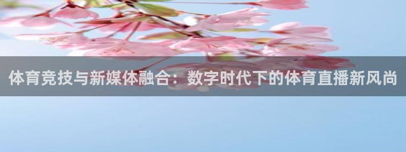柠檬篮球比赛直播：体育竞技与新媒体融合：数字时代下的体育直播新风尚